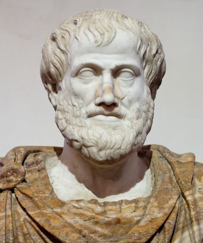 Mature-Scholar-Aristotle_Altemps_Inv8575-public-domain-wikipedia-smaller.jpg